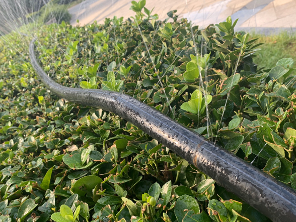 地埋噴灌廠家